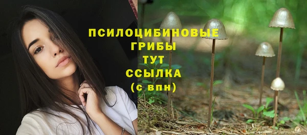 прущая мука Няндома