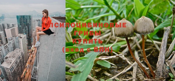 МДПВ Нягань